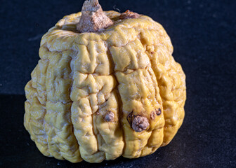close-up of a decorative pumpkin, withered berry skin, pronounced relief