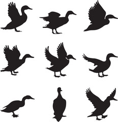 Vector silhouette image
