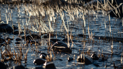 landscape with the seashore, windy winter day, frozen ice formations, Baltic Sea, Latvia