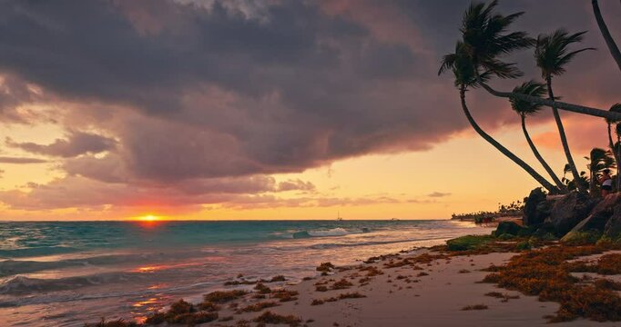 Sunrise Landscape of Caribbean Sea shore and exotic island beach with palm tree and rocks