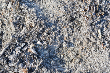 The remains of burnt wood, ash, and charcoal