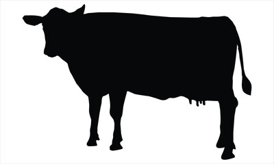 silhouette of a cow isolated on a white background