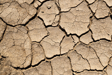 Texture of a cracked ground in desert