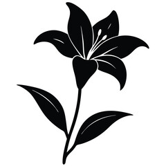 Lily Flower Vector Illustration: Perfect for Floral Designs