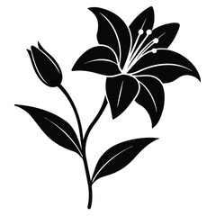 Lily Flower Vector Illustration: Perfect for Floral Designs