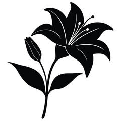 Lily Flower Vector Illustration: Perfect for Floral Designs