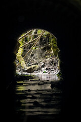 Close up of water flowing through a tunnel and a reflection of a forest on the water surface, North Rhine-Westphalia, Germany