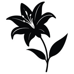 Lily Flower Vector Illustration: Perfect for Floral Designs