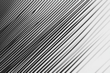 Obraz premium A monochrome image of lines