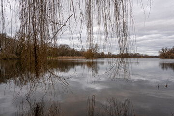 Der blick auf den See wird etwas verschleiert , durch die herabhängenden Weiden einer Trauerweide