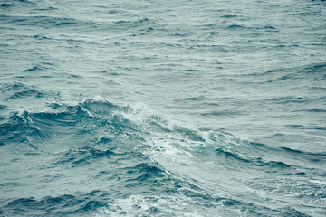 Gulf of mexico, Florida, USA gulf of mexico landscape seen from a cruise ship