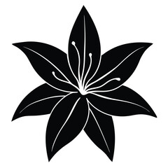Lily Flower Vector Illustration: Perfect for Floral Designs