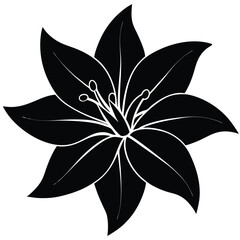 Lily Flower Vector Illustration: Perfect for Floral Designs