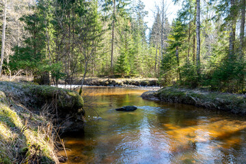 spring landscape with a small wild river,.reflections of trees and sky in the water, last snow and ice, Raunis, Latvia