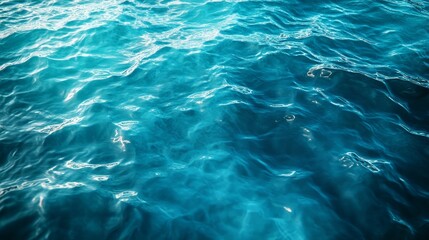 Fototapeta premium The water is calm and blue