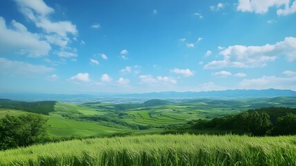 Fototapeta premium Majestic Panoramic View of Aomori Countryside Under Blue Sky