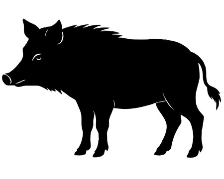recommend clip art: wild boar  black silhouette vector, Simple silhouette Design vector icon with white background. Wild animal silhouette