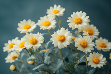 Obraz premium A Bouquet of Daisies in Soft Focus