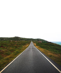 Carretera recta entre plantas
