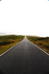 Carretera recta entre plantas