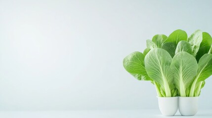 Fresh and vibrant bok choy leaves arranged neatly on a marble-textured white background 2