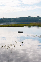 Barca en el lago con plantas acuáticas y reflejo del cielo