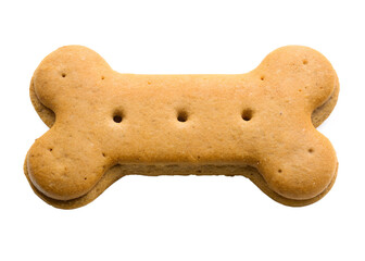dog bone isolated on white