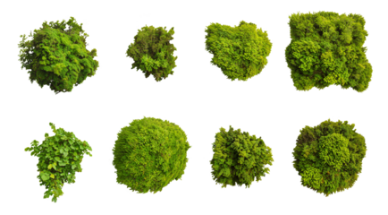 set of foliage and moss on transparent background