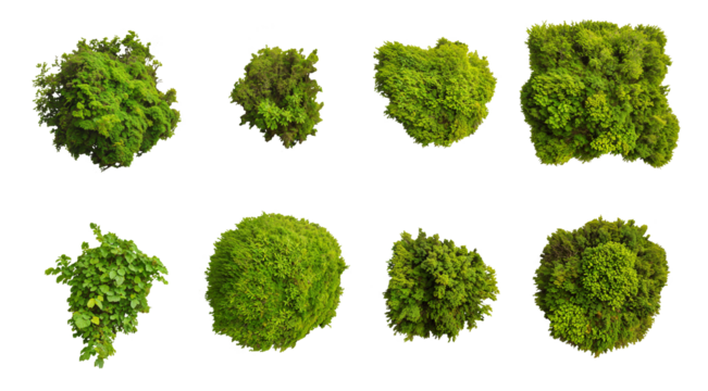 set of foliage and moss on transparent background