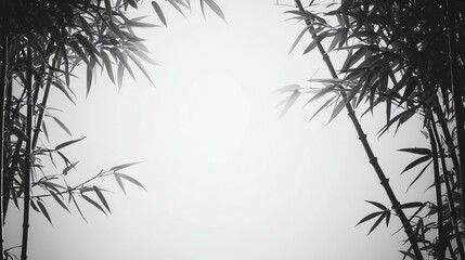 Obraz premium Mysterious Bamboo Leaves Enveloped in Soft Fog Creating an Ethereal Atmosphere in a Lush Green Environment Evoking Tranquility and Peaceful Reflection Amidst Nature's Embrace