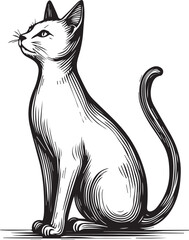 Cat Vector Art Illustration – Modern Feline Design