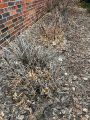 Retaining Wall with Old Stones Needing Redesign