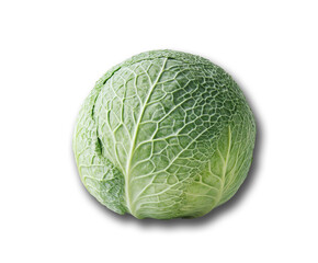 Fototapeta premium Fresh Green Cabbage on Transparent Background for Nutrition and Food-Centric Design Projects 5