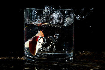 Fruit Splashing in a Glass