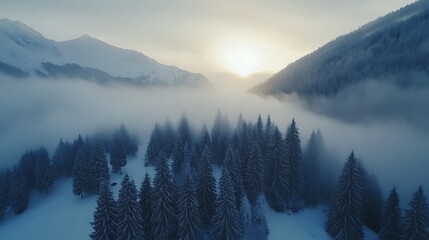 Obraz premium Enchanted Winter Sunrise: Aerial View of Misty Mountain Forest