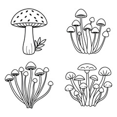 Hand Drawn Mushroom set Illustrations