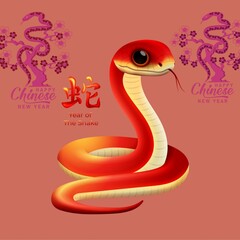 snake Chinese new  2025 year