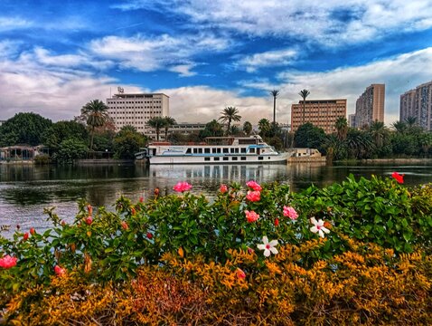 Maadi Island in Cairo in Egypt