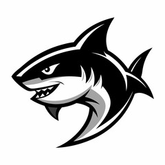 SHARK IMAGE