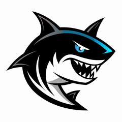 SHARK IMAGE