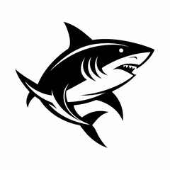 SHARK IMAGE