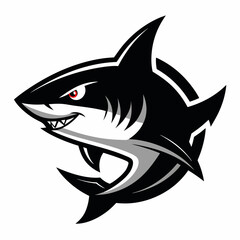 SHARK IMAGE