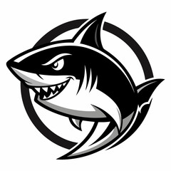 SHARK IMAGE