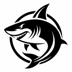 SHARK IMAGE