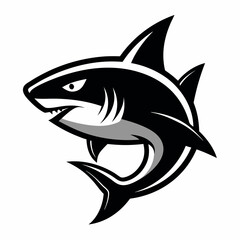 SHARK IMAGE