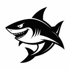 SHARK IMAGE