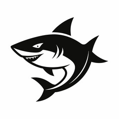 SHARK IMAGE