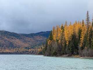 Ashley Lake in Northwest Montana with Golden Tamarack Trees in the Fall