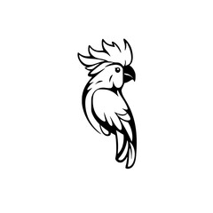 Elegant Black and White Cockatoo Parrot Bird Vector Illustration Graphic Design © MatandSterre