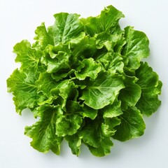 Fresh vibrant green lettuce with detailed texture on a clean white background 7